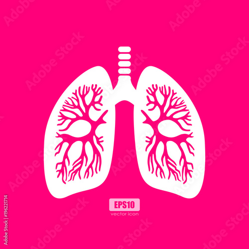 Lungs anatomy vector poster