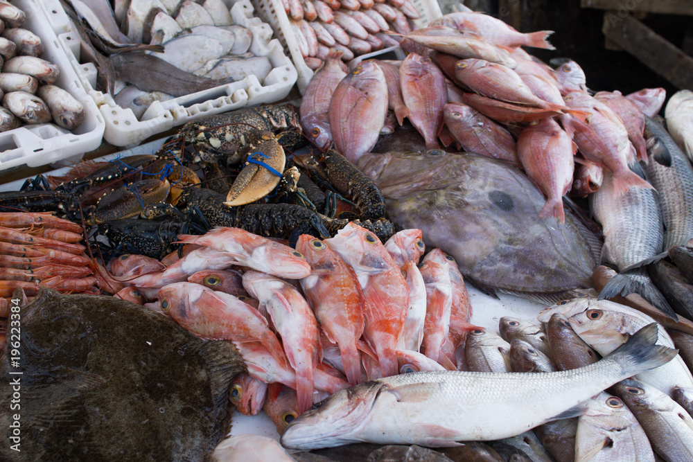 fish market in Morocco in Essaouira