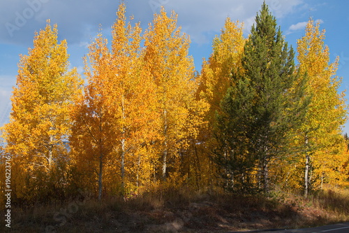Beautiful autumn in Grand Teton NP in Wyoming in the USA 