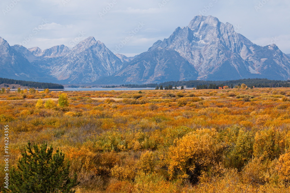 View of Mount Moran from Jenny Lake in Wyoming in the USA
