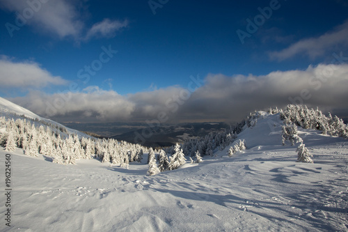 Sunny weather in the mountains of the Carpathians. Blue sky. © anna1111986