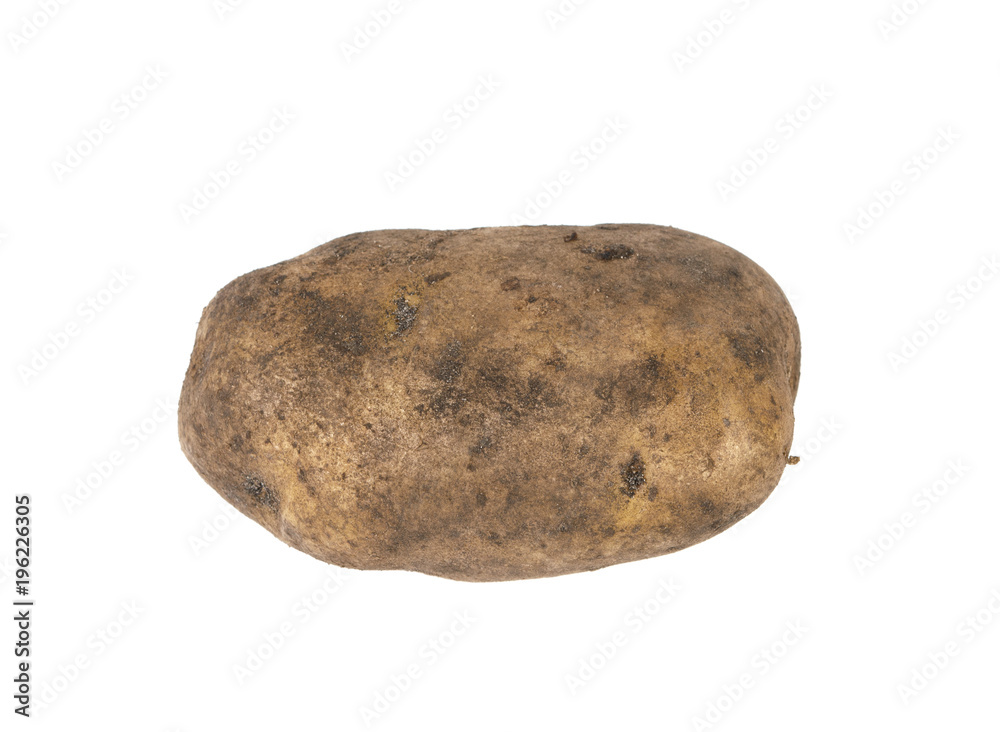 potatoes dirty on white background potatoes dirty on white background