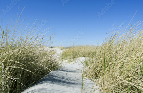 Fototapeta Naklejka Na Ścianę i Meble -  Laesoe / Denmark: View from the dunes near Storedal to the Kattegat Sea