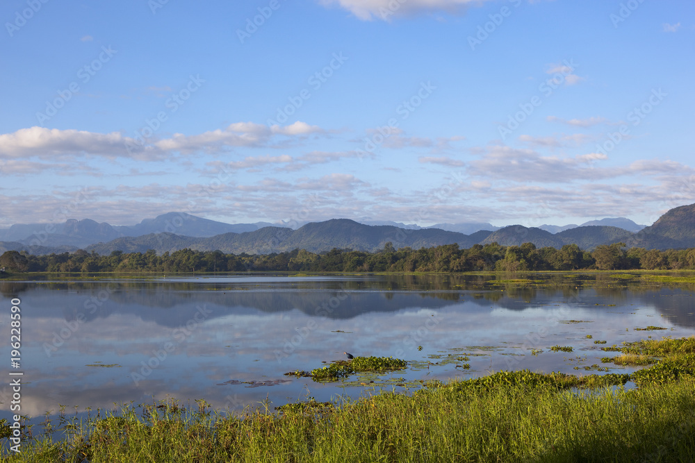 sri lankan mirror lake at wasgamuwa national park