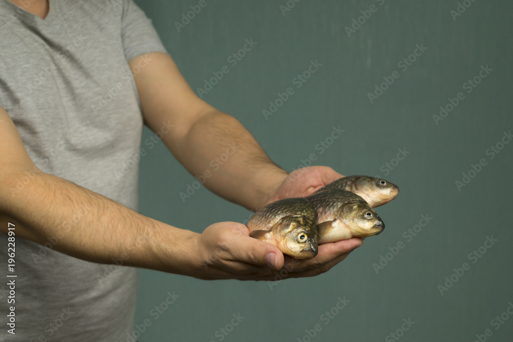 fish in hand fish in hand