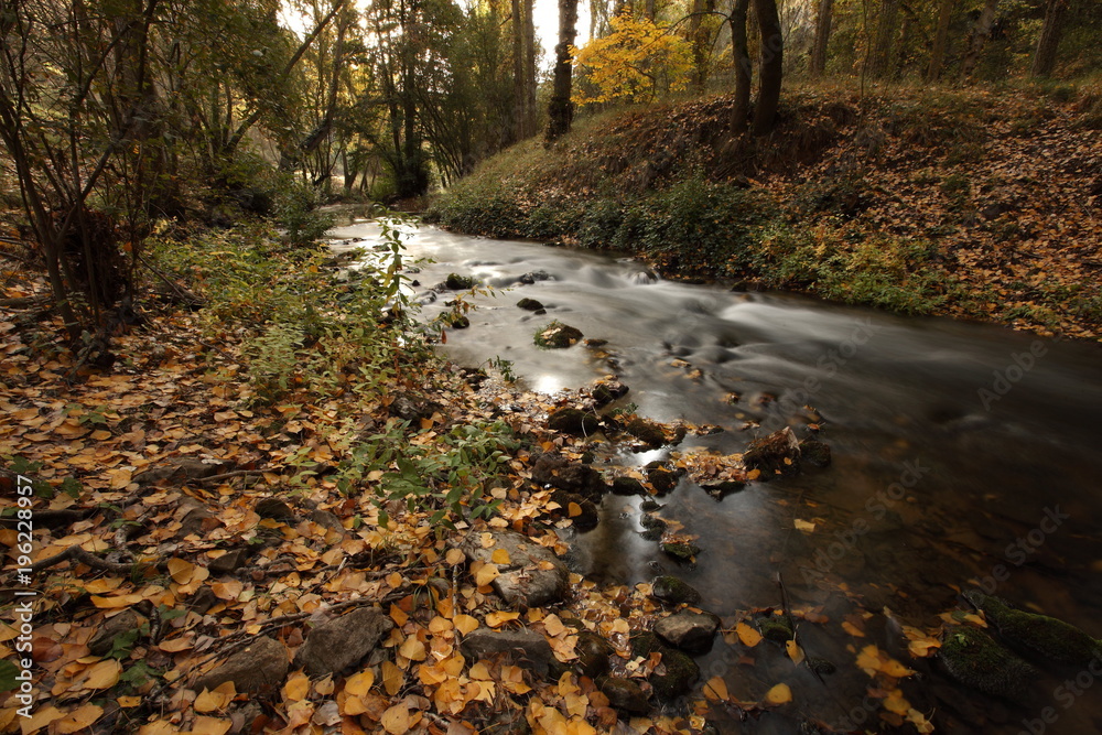 Río en otoño, Segovia