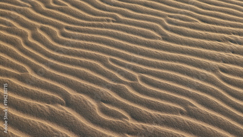 Distesa di sabbia