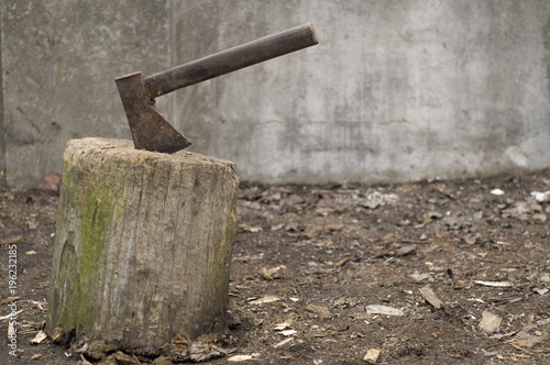 an old ax stuck in a tree trunk