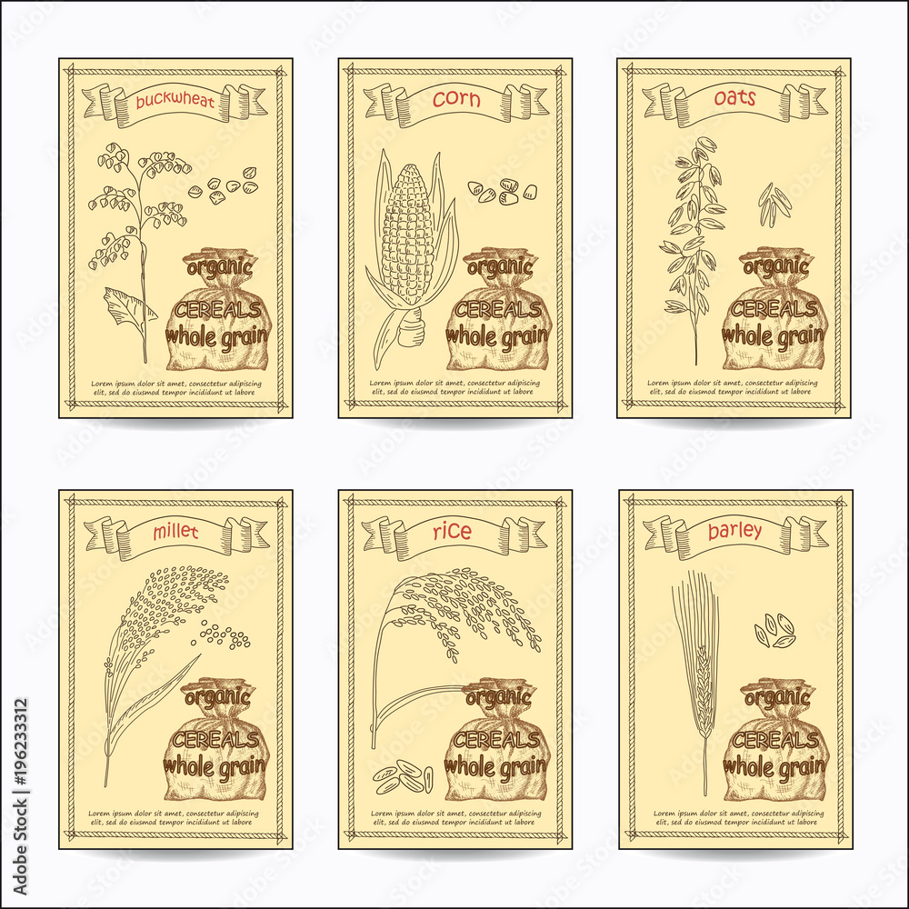 Fototapeta premium Sketched hand drawn cereals card set.