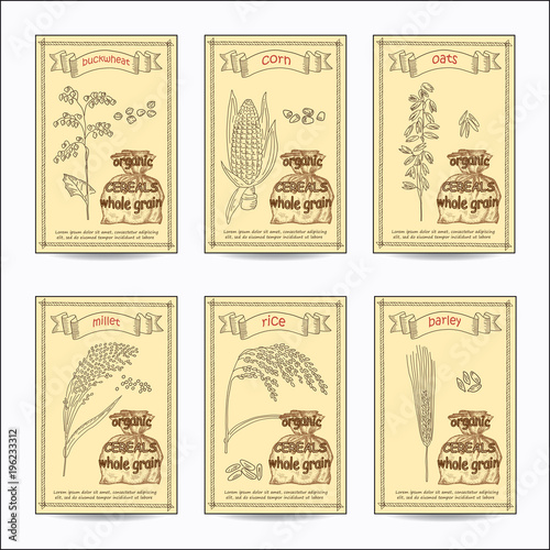 Sketched hand drawn cereals card set.