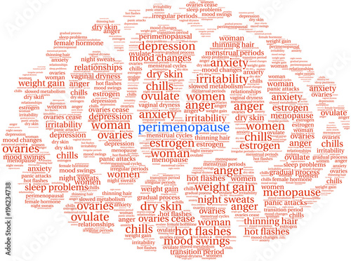 Perimenopause Word Cloud on a white background. 