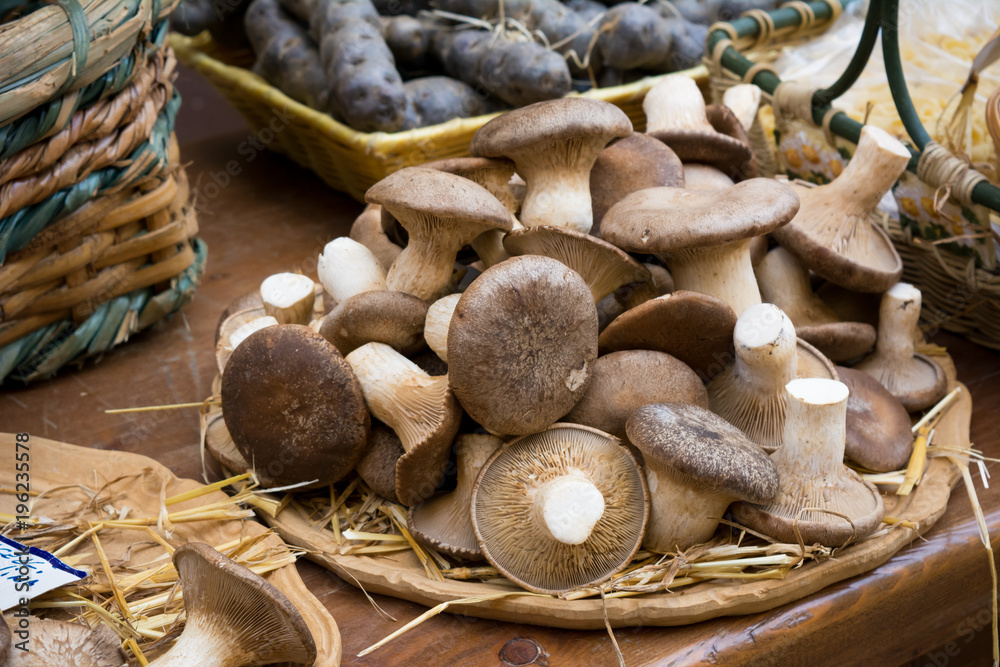 Horizontal View of Close Up of Fresh Mushrooms at the Marketplace on Blur Background. Bari, South of Italy Horizontal View of Close Up of Fresh Mushrooms at the Marketplace on Blur Background. Bari, South of Italy