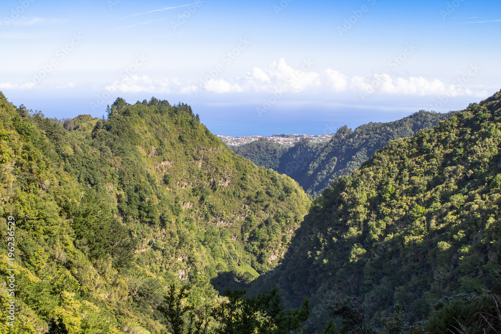 Panorama view of mountain rainforest, Madeira, Portugal