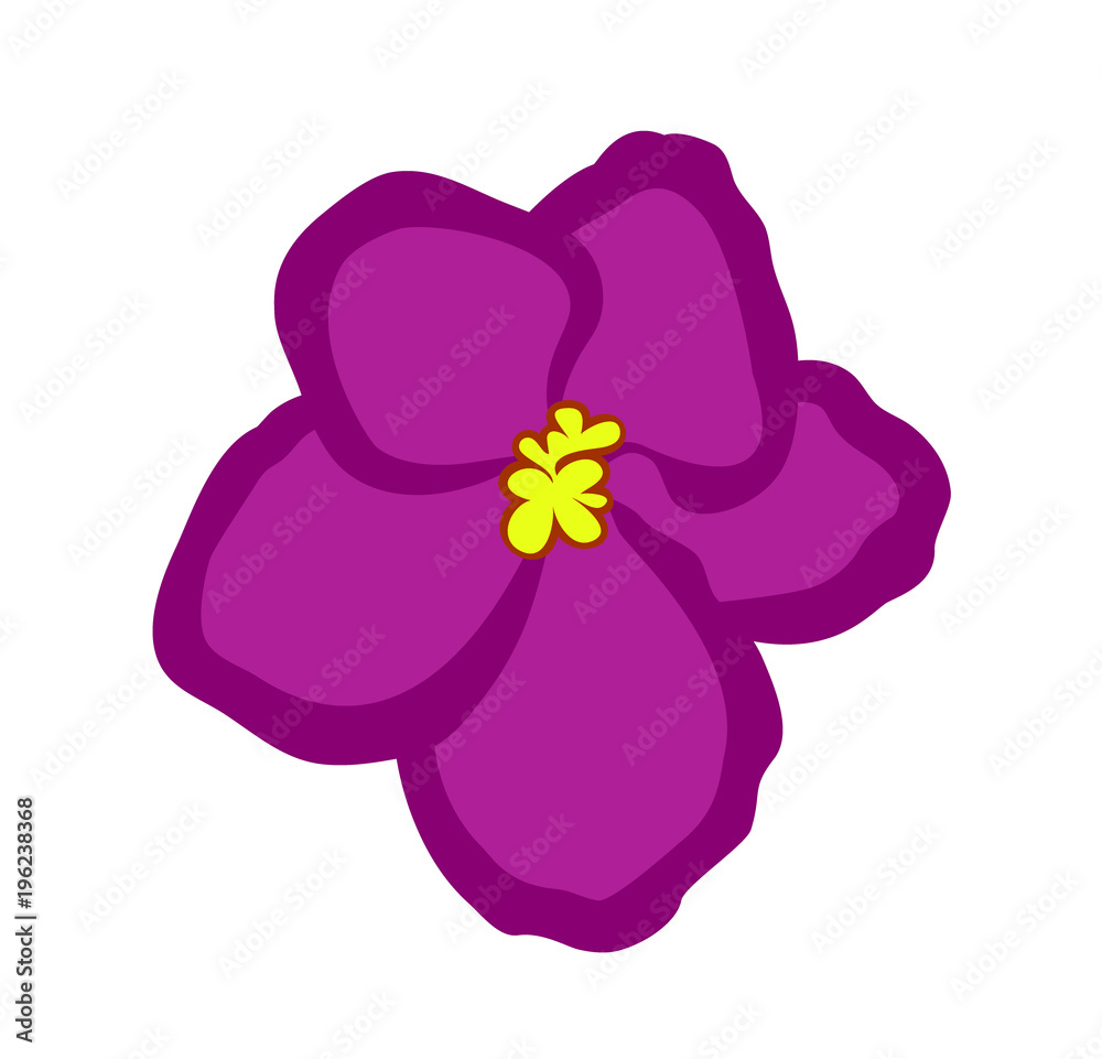 Vector illustration, flat pink Saintpaulia flower isolated on white background Vector illustration, flat pink Saintpaulia flower isolated on white background