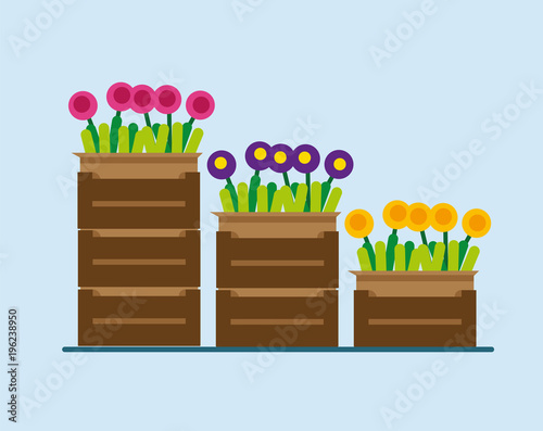 Flowers in boxes. Flowers in boxes in flat style. Flowers in the boxes in the warehouse. Flowers in the boxes in the warehouse in flat style. Vector illustration Eps10 file