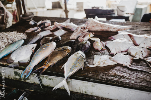 Sri Lankan Fish Market photo