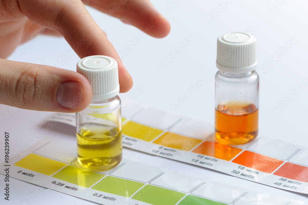 Water quality testing. Man determining water characteristics by