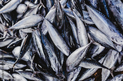 Sri Lankan Fish Market photo