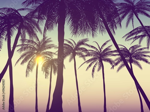Summer california tumblr backgrounds set with palms, sky and sunset. Summer placard poster flyer invitation card. photo