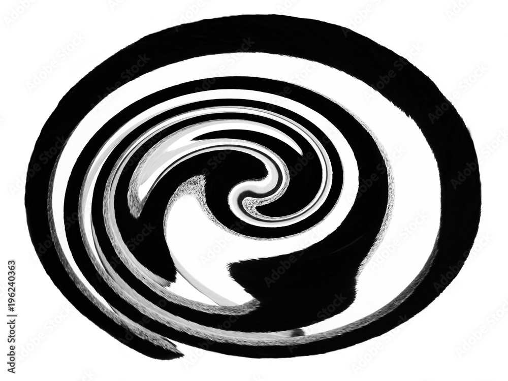 Espiral blanco y negro Espiral blanco y negro