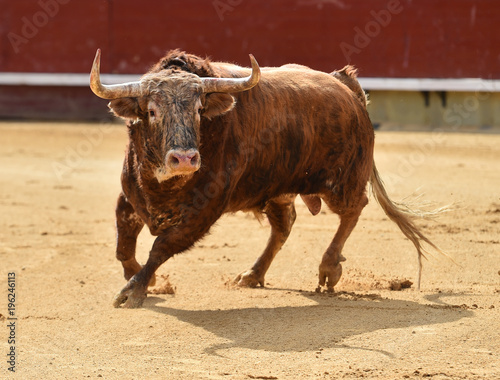 corrida de toros