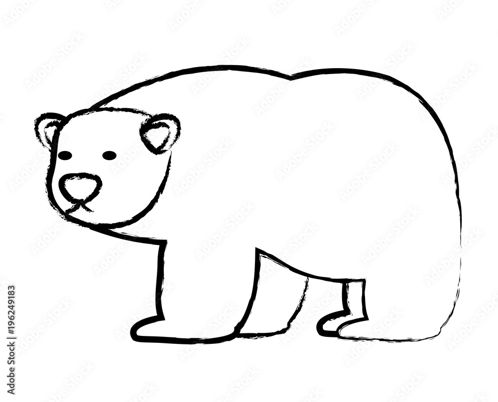 Obraz premium sketch of polar bear icon over white background, vector illustration