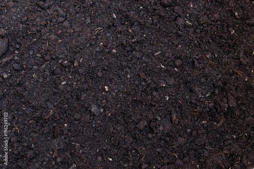 Soil texture or background seen from above, top view photo