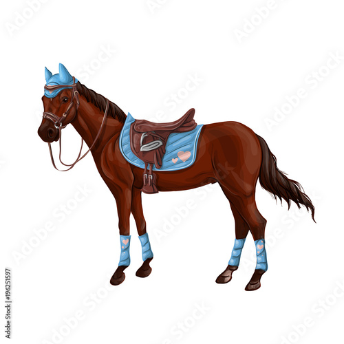 A horse stands, fawn, vector illustration