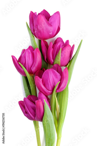 Fototapeta Naklejka Na Ścianę i Meble -  Bouquet of purple tulips isolated on white background