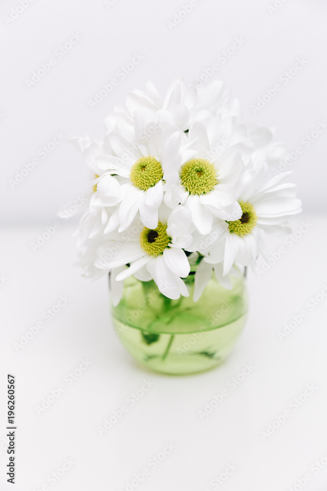 White spring flowers in vase. Minimal white background White spring flowers in vase. Minimal white background