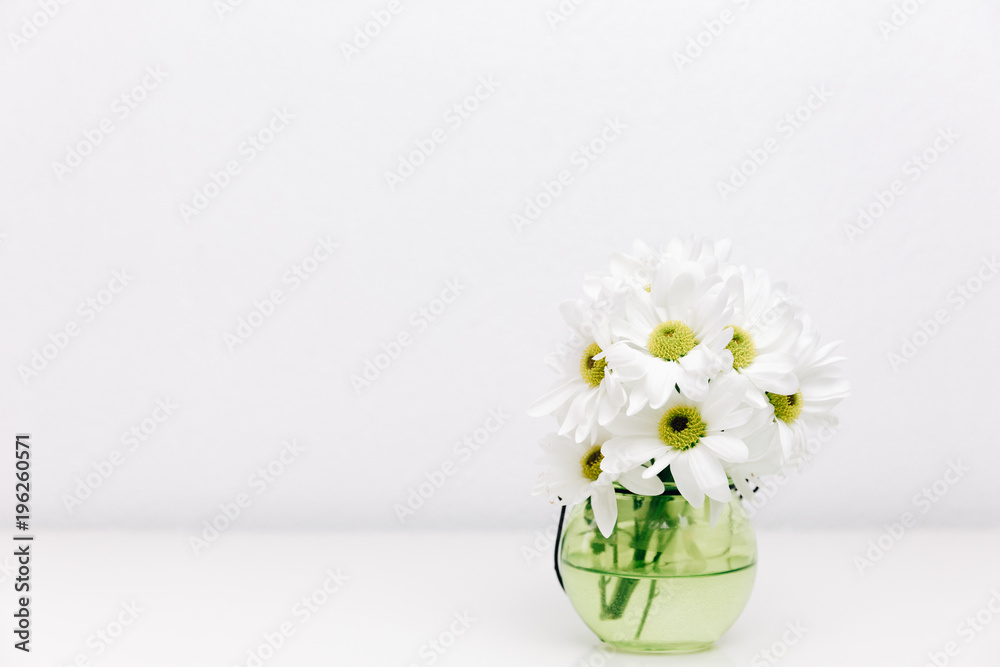 White spring flowers in vase. Minimal white background