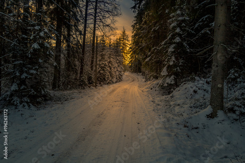 winter road in the forest that leads towards the sun