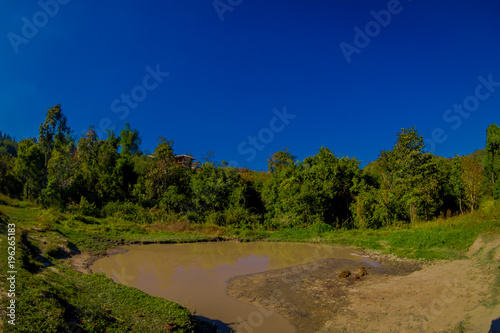 Outdoor view of a natural pond of mud where the elephants take a bath with some tourists in the nature, in Elephant jungle Sanctuary, in Chiang Thailand