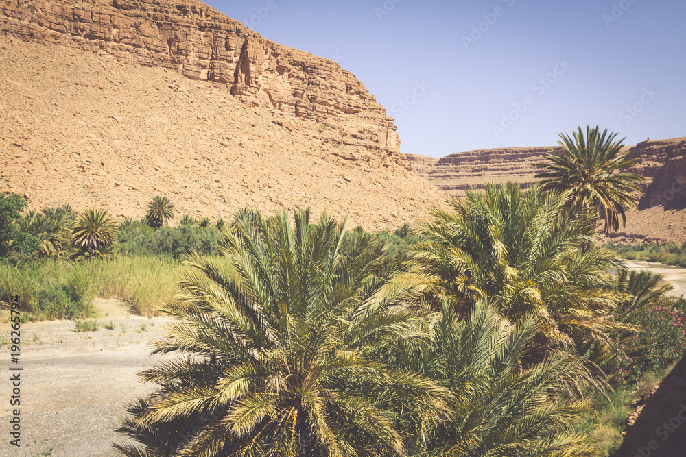 Wide view of canyon and cultivated fields and palms in Errachidia Valley Morocco North Africa Africa Wide view of canyon and cultivated fields and palms in Errachidia Valley Morocco North Africa Africa