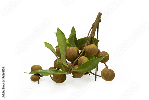 Logan Fruit