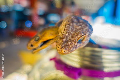 Close up of selective focus of gecko head with a blurred snake behind, prepared by locals on an island off the coast of Laos, at the Golden Triangle Special Economic Zone Chinatown