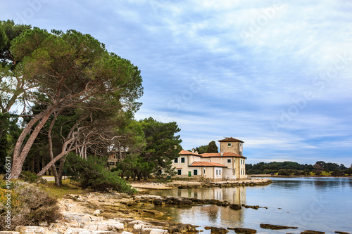 The coast of the Veliki Brijun island, Croatia photo