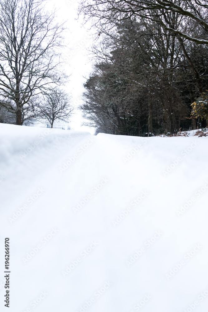 The Effect of The Beast From The East Winter Snow Storm in Drewsteignton