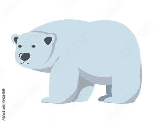 polar bear icon over white background  colorful design. vector illustration