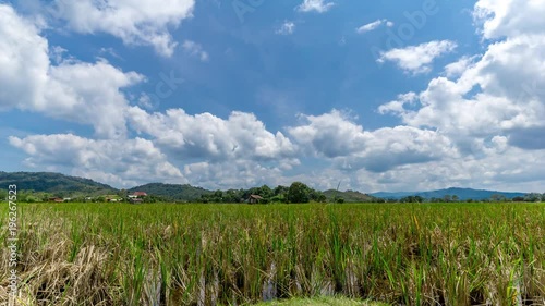 Time lapse of moving clouds over organic paddy fields at Bario. Bario is a community of 13 to 16 villages located on the Kelabit Highlands in Miri Division, Sarawak, Malaysia.