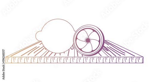 chopping board with lemon slices icon over white background, colorful design. vector illustration