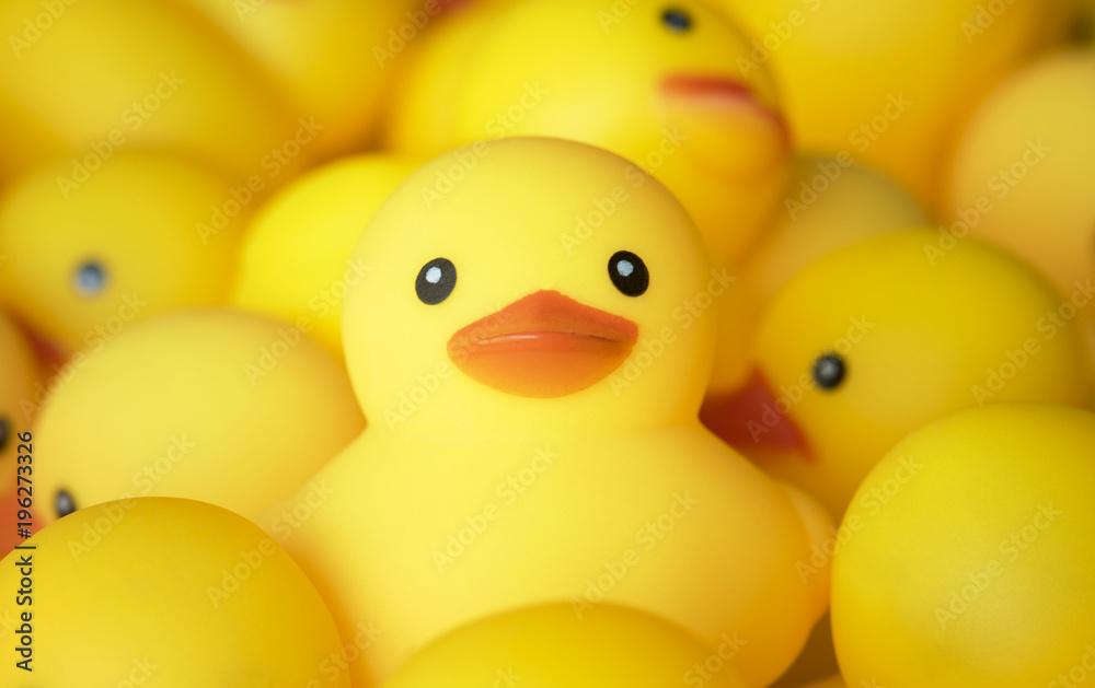 Closeup of rubber duckies Closeup of rubber duckies