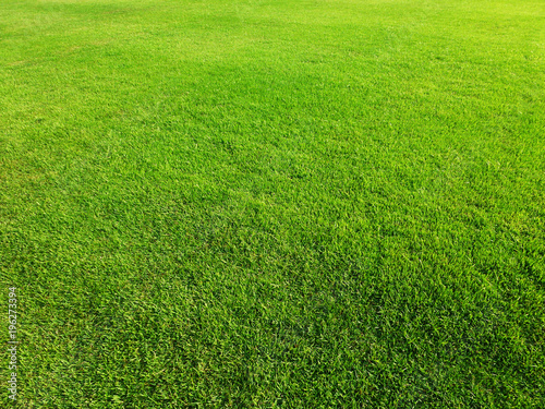 The lawn landscape of the football field