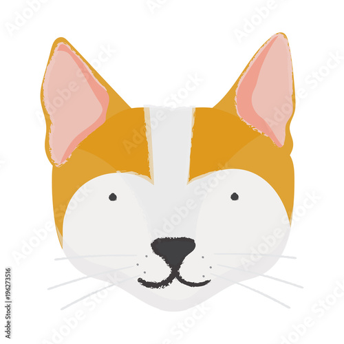 Illustration of cat breed