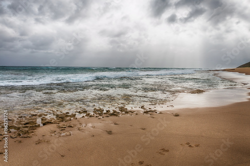   in south africa   sky  ocean       reserve