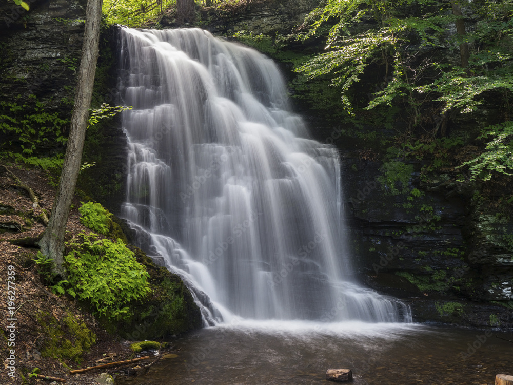 Obraz premium Waterfall in Bushkill Park, PA