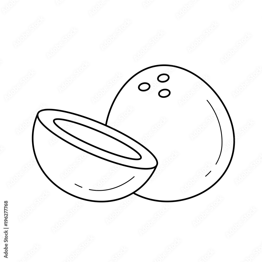 Coconut line icon isolated on white background. Vector line icon of whole and half of coconut for infographic, website or app. Coconut line icon isolated on white background. Vector line icon of whole and half of coconut for infographic, website or app.