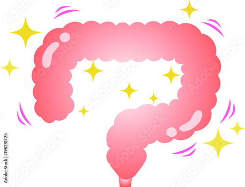 Healthy colon illustration