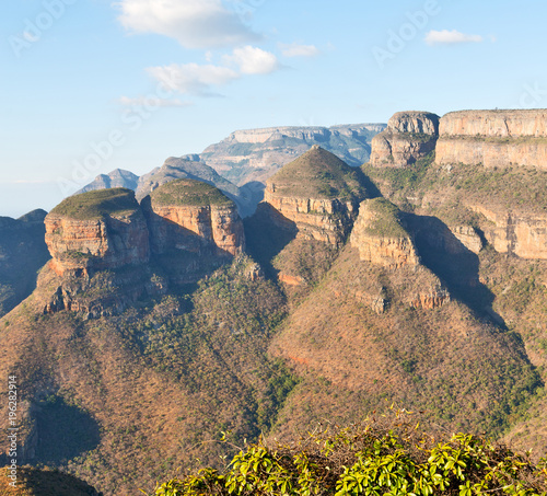   in  south africa    river canyon  plant  and water photo