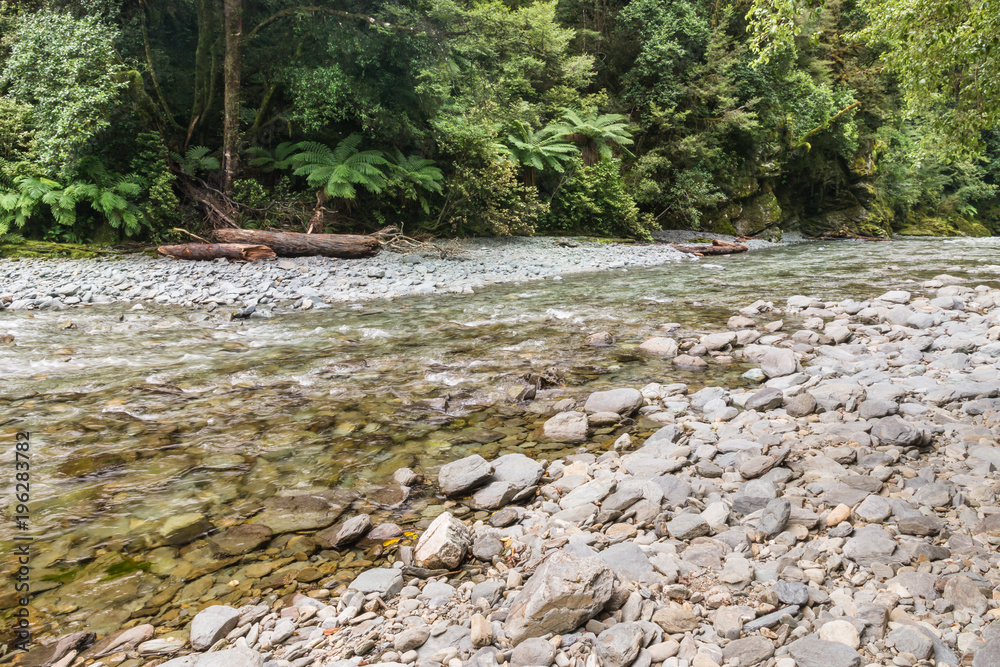 Wakamarina river flowing through rainforest near Canvastown, New Zealand Stock Photo Adobe Stock